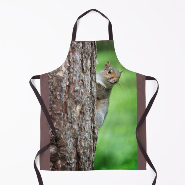 Item preview, Grey Squirrel, Sciurus carolinensis designed and sold by Rob Cole Photography.