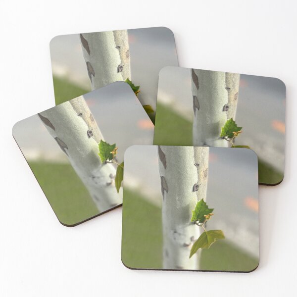 Item preview, Birch by roadside designed and sold by feiermar.