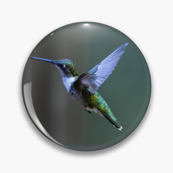 Artikelvorschau, Female Ruby Throated Hummingbird entworfen und verkauft von nbrandsberg.