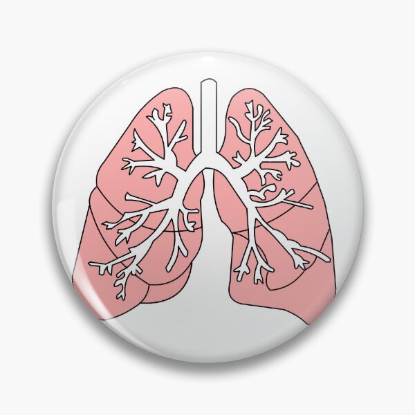 Item preview, Lung Diagram  designed and sold by TheMedicalNerd.