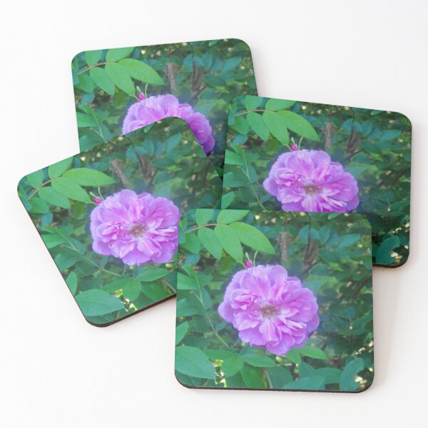 Item preview, Lavender rose designed and sold by Shulie1.