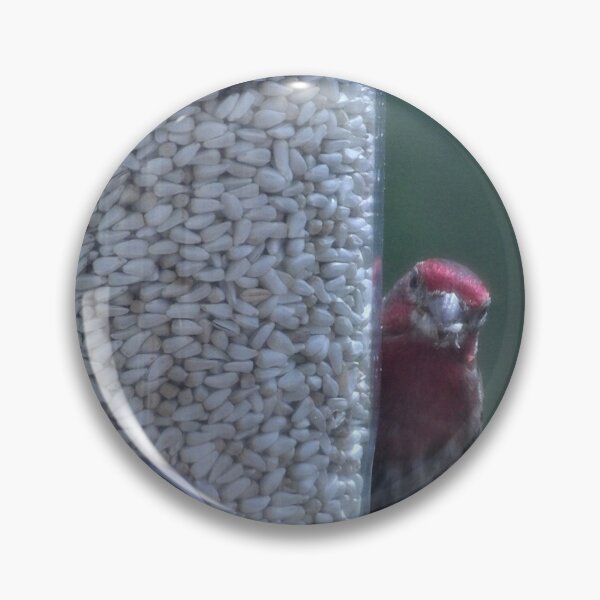 Item preview, House Finch in Pennsylvania designed and sold by Kimberly Scott.