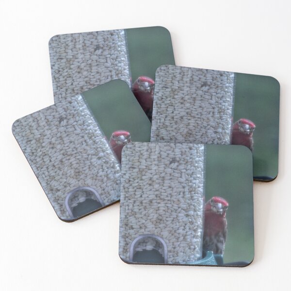 Item preview, House Finch in Pennsylvania designed and sold by Kimberly Scott.