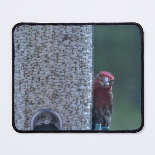 Item preview, House Finch in Pennsylvania designed and sold by Kimberly Scott.