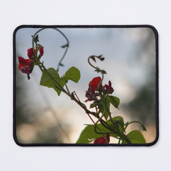 Item preview, Reaching For The Sky designed and sold by craig777red.
