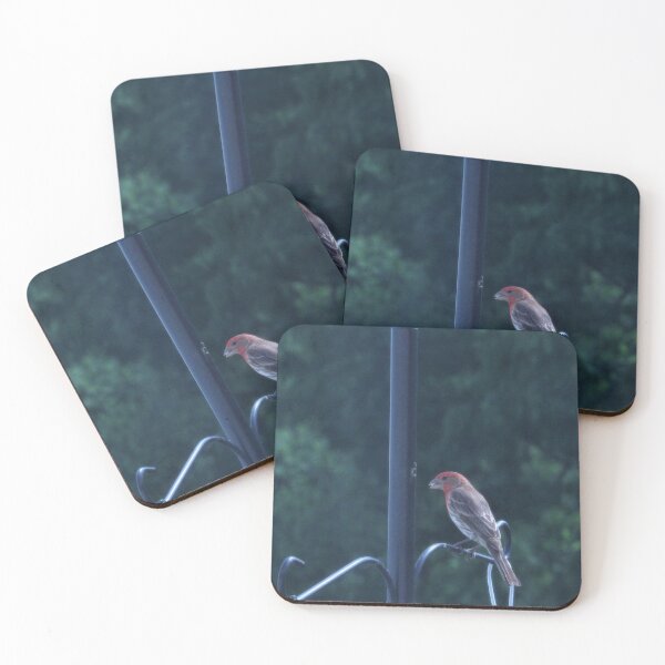 Item preview, House Finch in Chambersburg, PA designed and sold by Kimberly Scott.