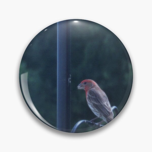 Item preview, House Finch in Chambersburg, PA designed and sold by Kimberly Scott.