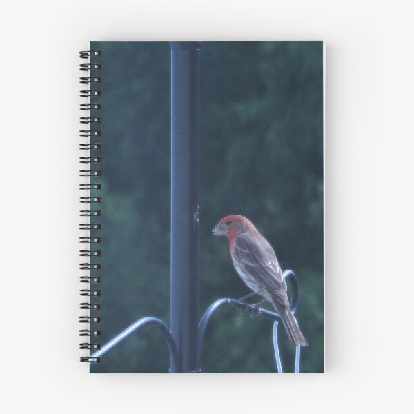 Item preview, House Finch in Chambersburg, PA designed and sold by Kimberly Scott.