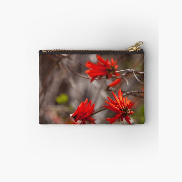 Item preview, Erythrina Lysistemon or Common Coral Tree designed and sold by chrismelinafrnk.