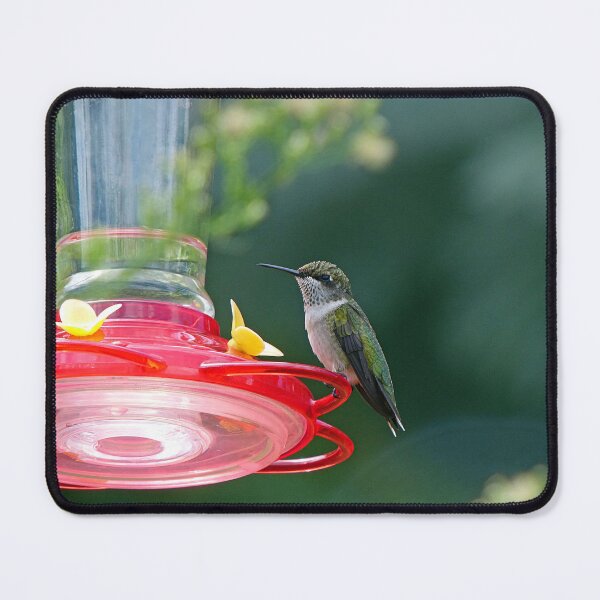 Item preview, Perched Hummingbird designed and sold by Frankie Cat Photography.