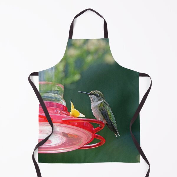 Item preview, Perched Hummingbird designed and sold by Frankie Cat Photography.