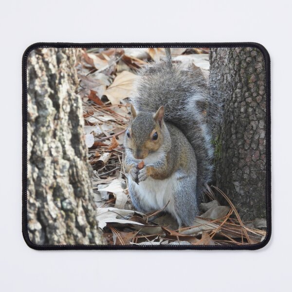 Item preview, Cute Squirrel #0044 designed and sold by Jeffrey Mask.