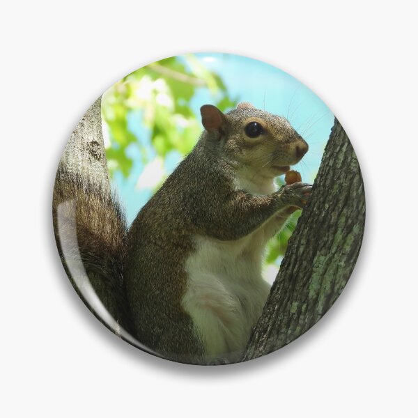 Item preview, Cute Squirrel #0043 designed and sold by Jeffrey Mask.
