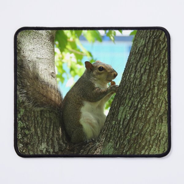 Item preview, Cute Squirrel #0043 designed and sold by Jeffrey Mask.