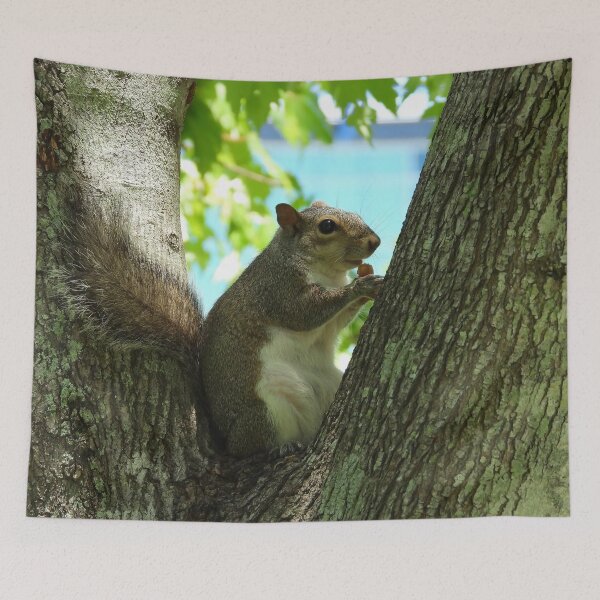 Item preview, Cute Squirrel #0043 designed and sold by Jeffrey Mask.