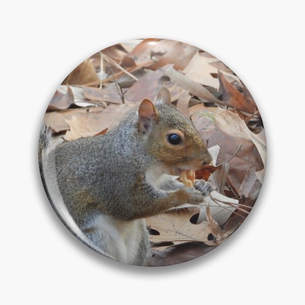 Item preview, Cute Squirrel #0045 designed and sold by Jeffrey Mask.