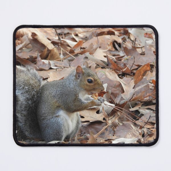 Item preview, Cute Squirrel #0045 designed and sold by Jeffrey Mask.