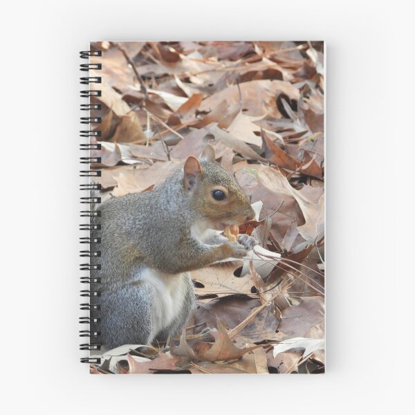 Item preview, Cute Squirrel #0045 designed and sold by Jeffrey Mask.