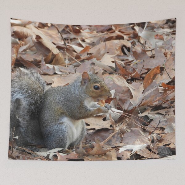 Item preview, Cute Squirrel #0045 designed and sold by Jeffrey Mask.