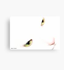 Now Seriously. Canvas Print