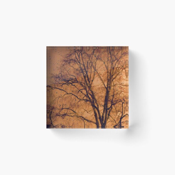 Item preview, A Study Of A Tree No I designed and sold by ArtOfE.