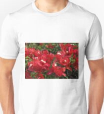 Red Bougainvillae 1 - Florida Unisex T-Shirt