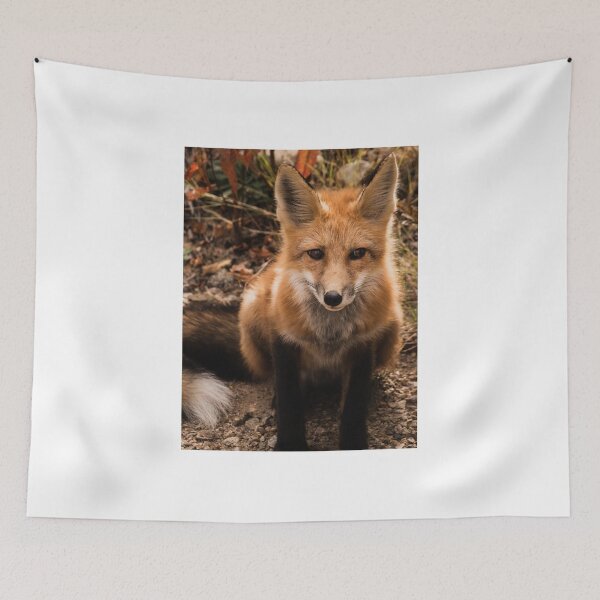 Item preview, Sitting foxy fox designed and sold by Inspieation.