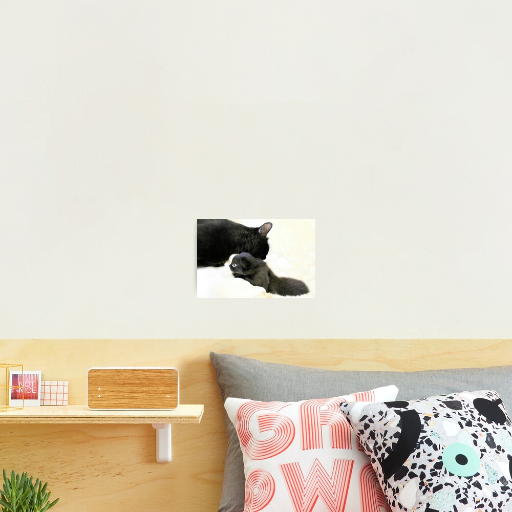 Item preview, Photographic Print designed and sold by Ladymoose.