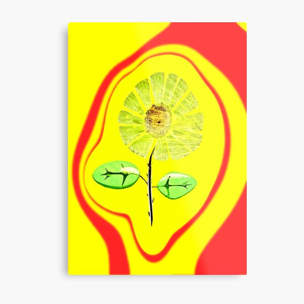 Sun feng shui Metal Print