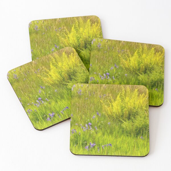 Item preview, Bluebells and Ferns in Spring, Skye Scotland designed and sold by PhotosEcosse.