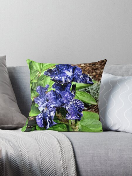 Item preview, Varigated Blue Iris - Connecticut designed and sold by jtrommer.