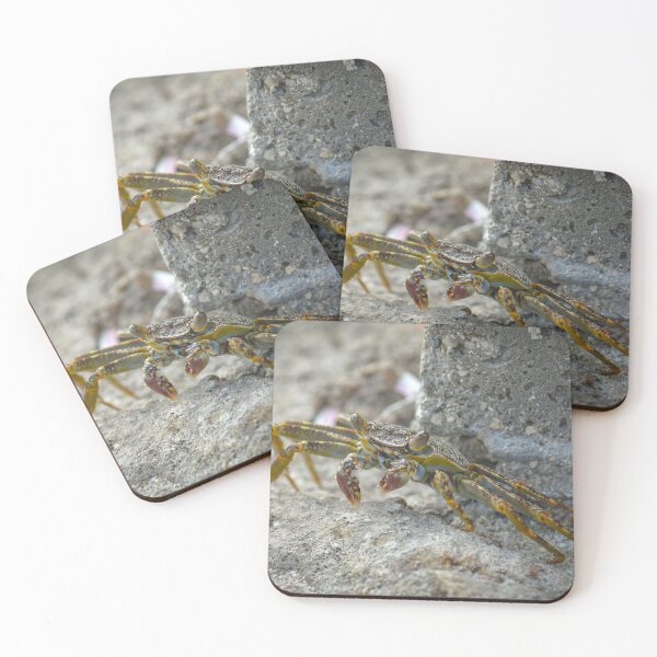 Item preview, Tropical crab resting on stone designed and sold by AlishaWatson.