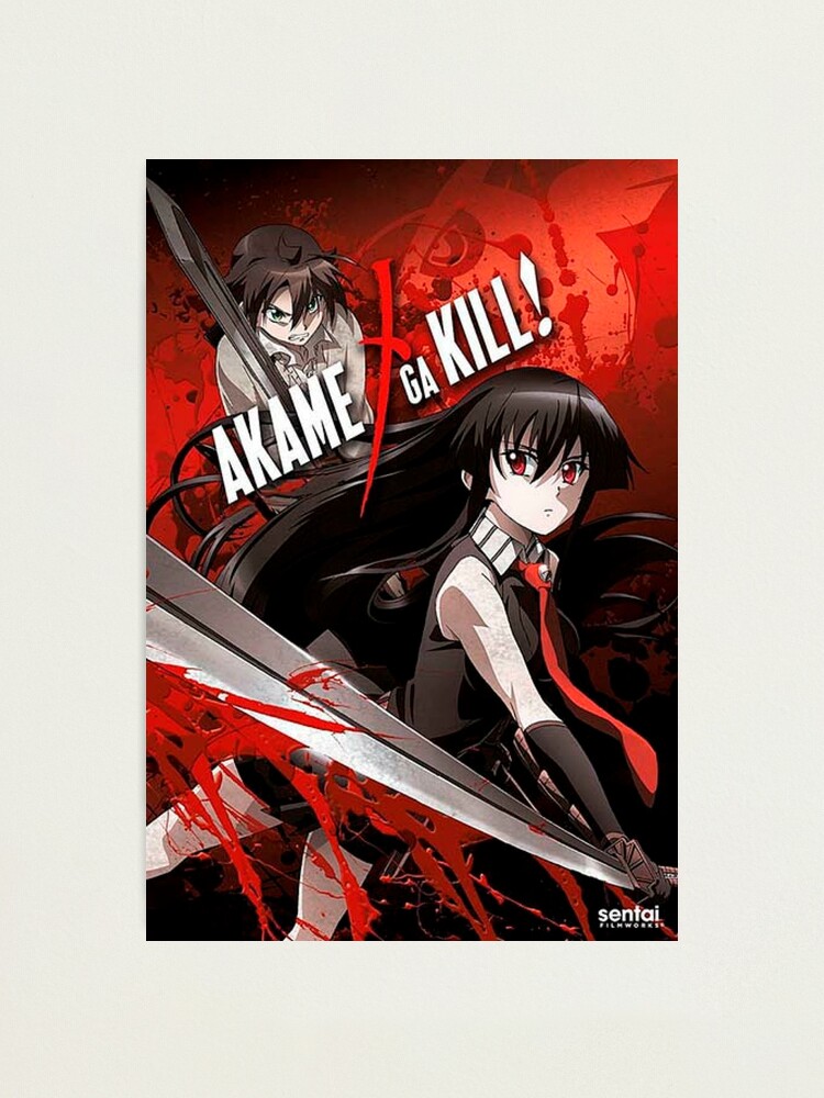 Akame ga Kill! - Sentai Filmworks