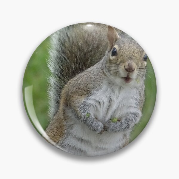 Item preview, Cute Squirrel #0046 designed and sold by Jeffrey Mask.