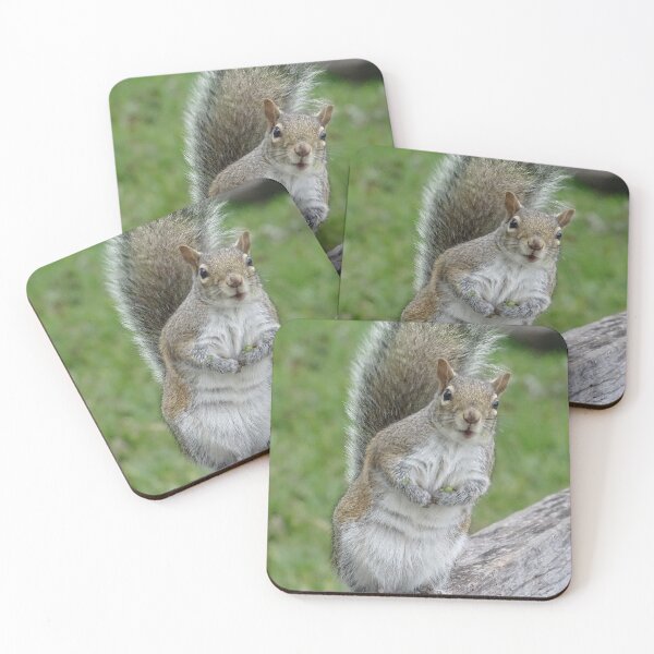 Item preview, Cute Squirrel #0046 designed and sold by Jeffrey Mask.