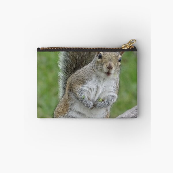 Item preview, Cute Squirrel #0046 designed and sold by Jeffrey Mask.