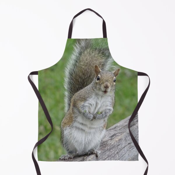 Item preview, Cute Squirrel #0046 designed and sold by Jeffrey Mask.