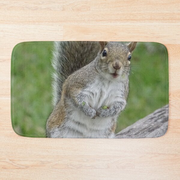 Item preview, Cute Squirrel #0046 designed and sold by Jeffrey Mask.