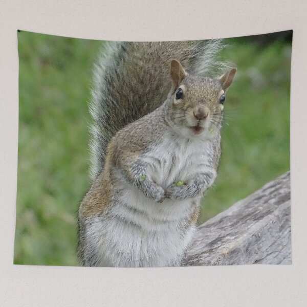 Item preview, Cute Squirrel #0046 designed and sold by Jeffrey Mask.