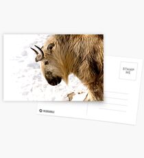 "Takin" It Slow Postcards