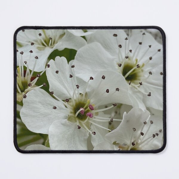 Item preview, Apple Blossoms by Mark Ewing designed and sold by LifeSpice.