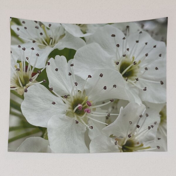 Item preview, Apple Blossoms by Mark Ewing designed and sold by LifeSpice.