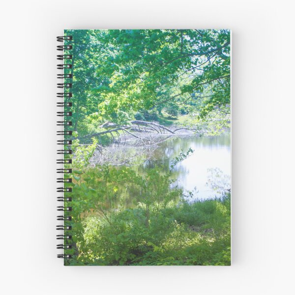 Item preview, LAGO EN CLARK STATE FOREST designed and sold by Pauline Evans.