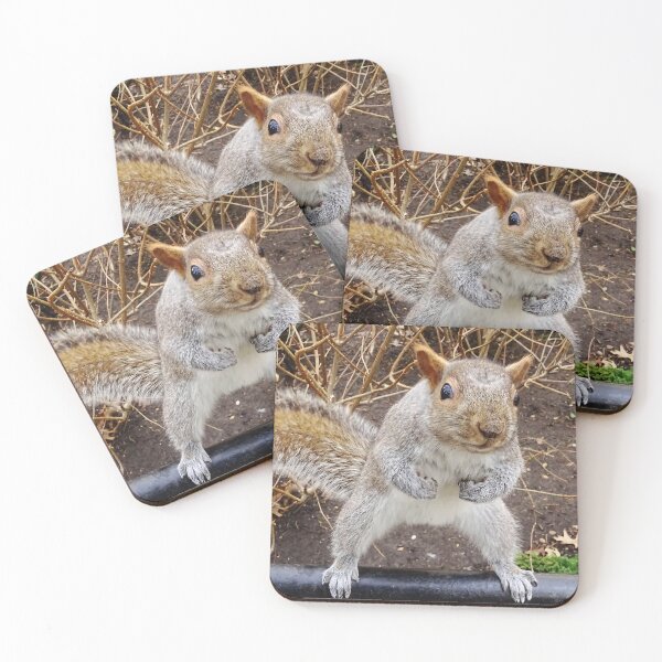 Item preview, Cute Squirrel #0047 designed and sold by Jeffrey Mask.