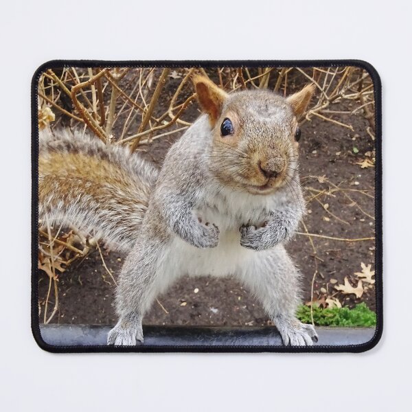Item preview, Cute Squirrel #0047 designed and sold by Jeffrey Mask.