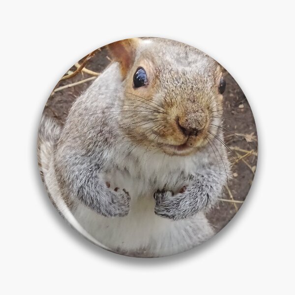 Item preview, Cute Squirrel #0047 designed and sold by Jeffrey Mask.