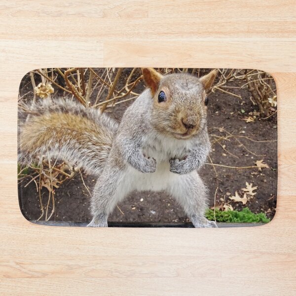 Item preview, Cute Squirrel #0047 designed and sold by Jeffrey Mask.