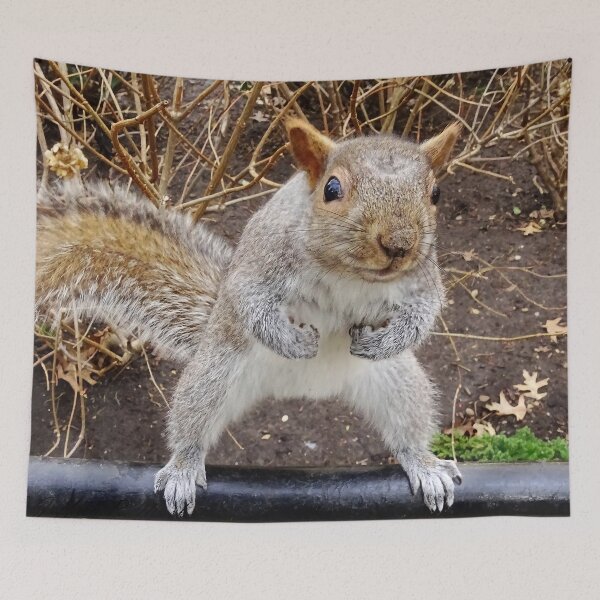 Item preview, Cute Squirrel #0047 designed and sold by Jeffrey Mask.