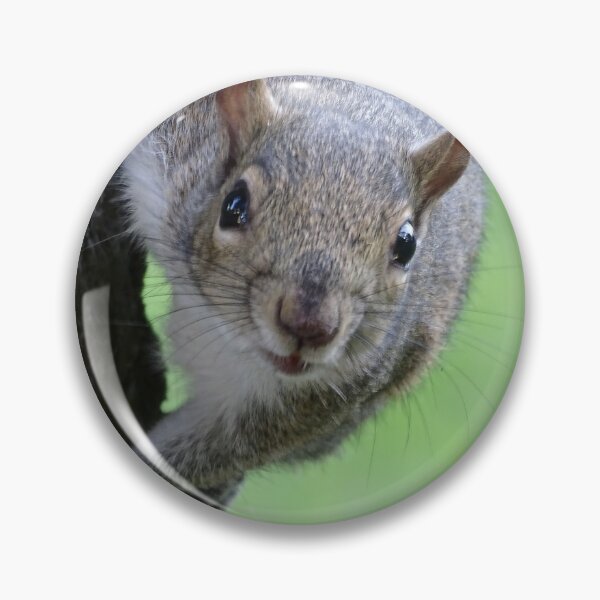 Item preview, Cute Squirrel #0048 designed and sold by Jeffrey Mask.