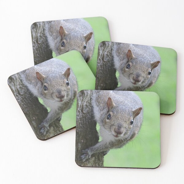 Item preview, Cute Squirrel #0048 designed and sold by Jeffrey Mask.